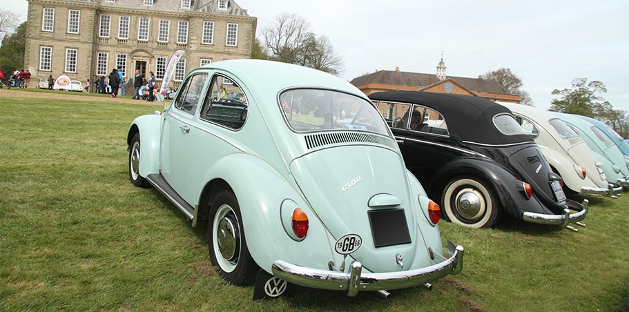 Beetle Buying Guide