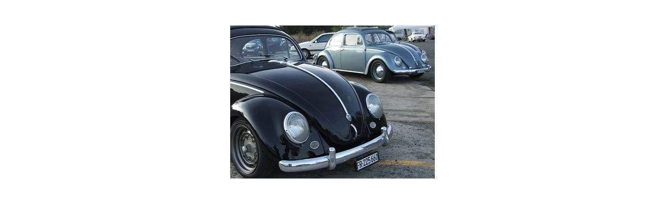 Entender y convivir con un VW 6v