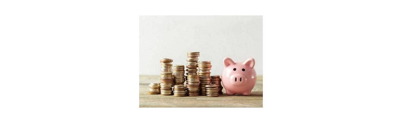 Piggy Bank