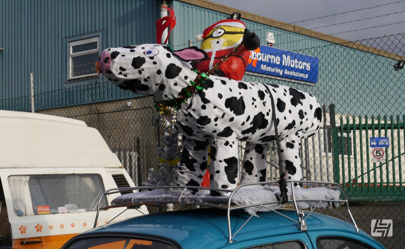 Blue VW Beetle with large Dalmatian on the roof rack