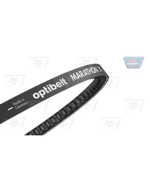 Cinghia dinamo 25cv fits Maggiolino,Bus Bay,Bus Split,Karmann Ghia,924