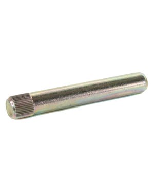 Door Hinge Pin Standard fits Beetle