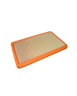 Air Filter, Genuine