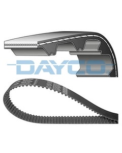 Timing Belt 300TDI