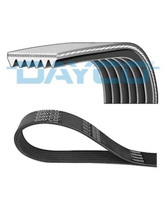 Drive Belt 2.2 CR Diesel