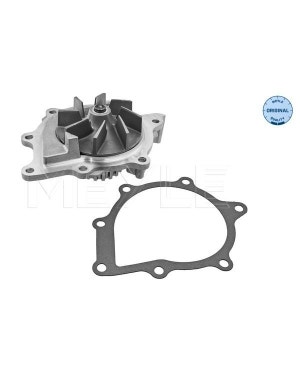 Water Pump 2.2 CR Diesel