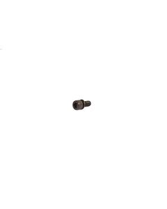 Check Strap Bolt, M6x15