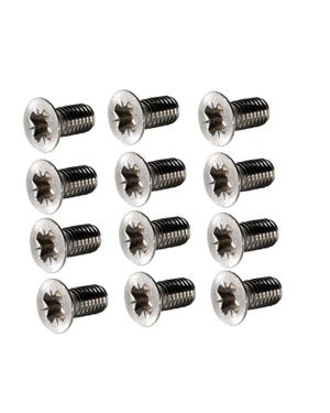 Stainless Steel Door Hinge Screw 12 Piece Set  fits Beetle,Karmann Ghia,Beetle Cabrio,Type 3