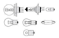 Buggy/Baja Bulbs